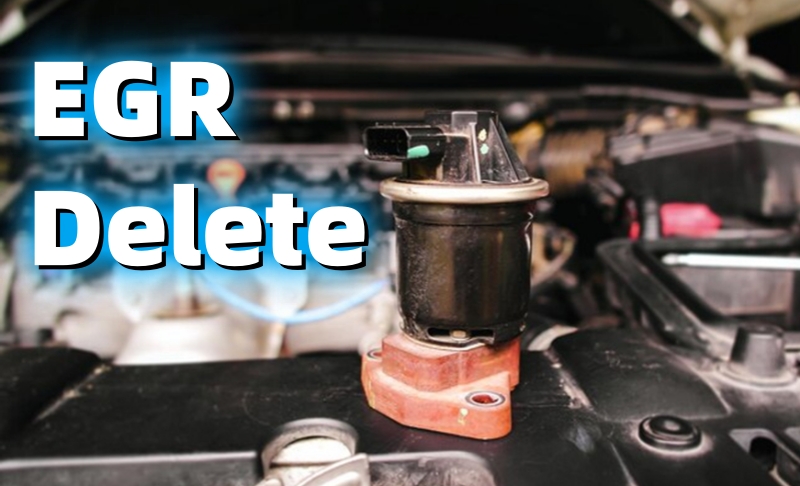 egr-delete
