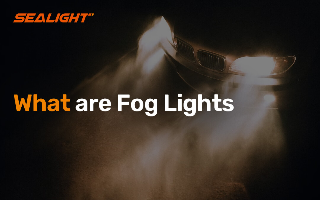 what are fog lights