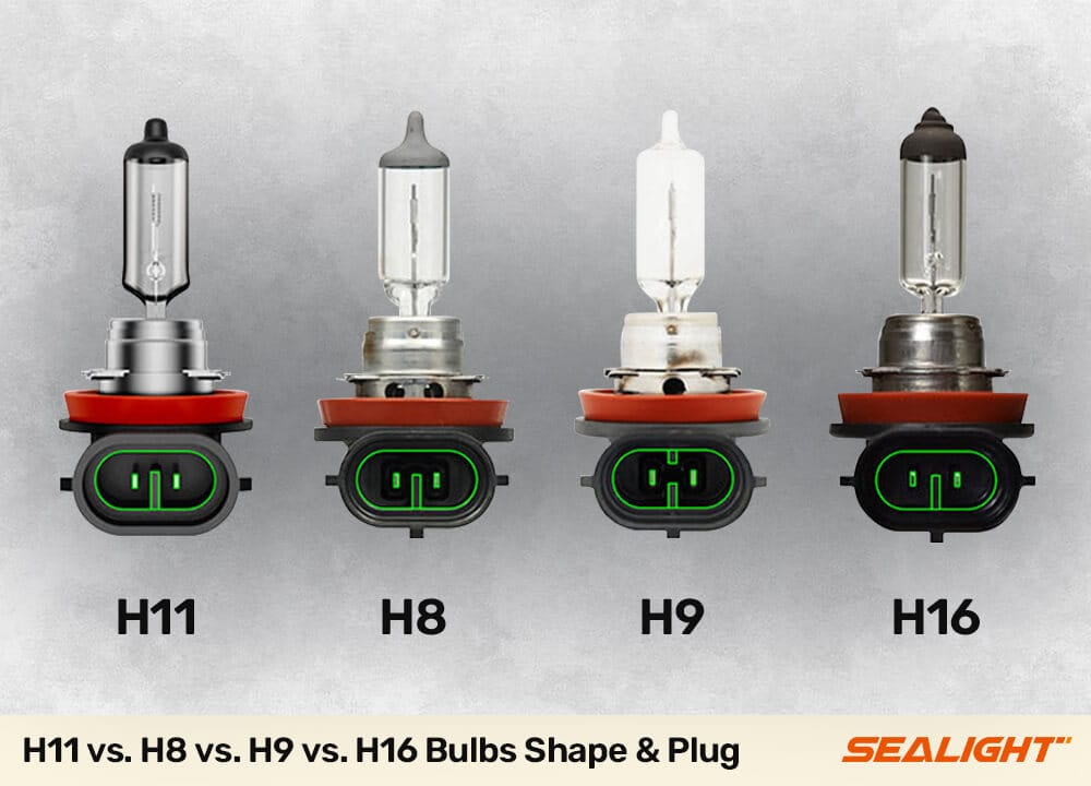 h11 vs h8 vs h9 vs h16 bulb plug