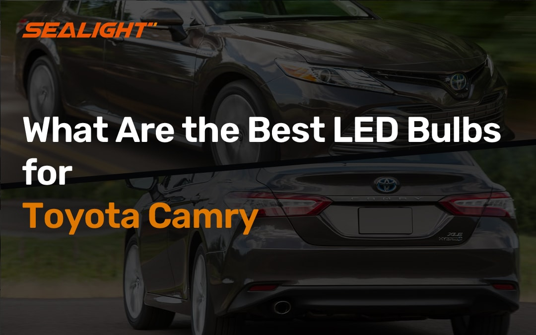 Best LED Bulbs for Toyota Camry