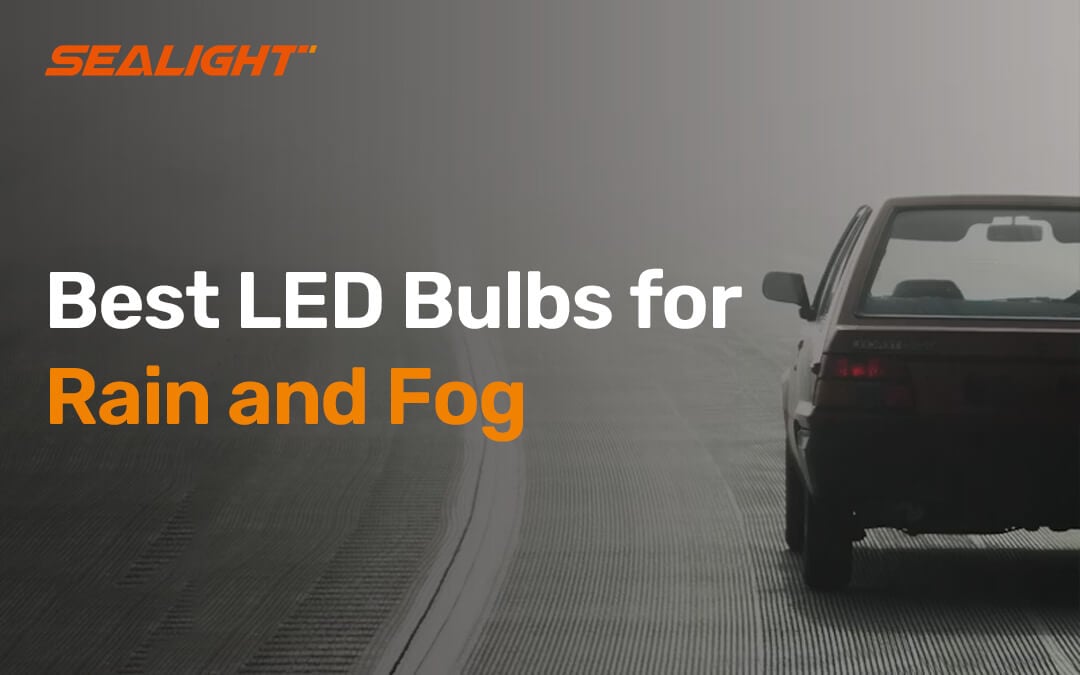 Best LED Fog Light Bulbs for Rain, Fog, and Storm Driving (2026 Buying Guide)