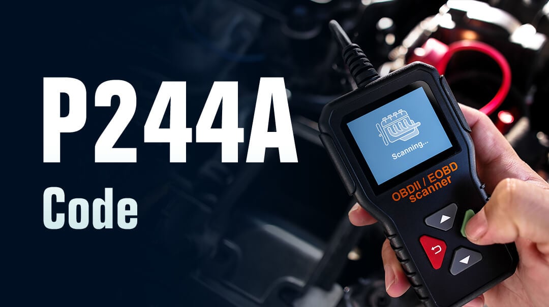 p244a-code
