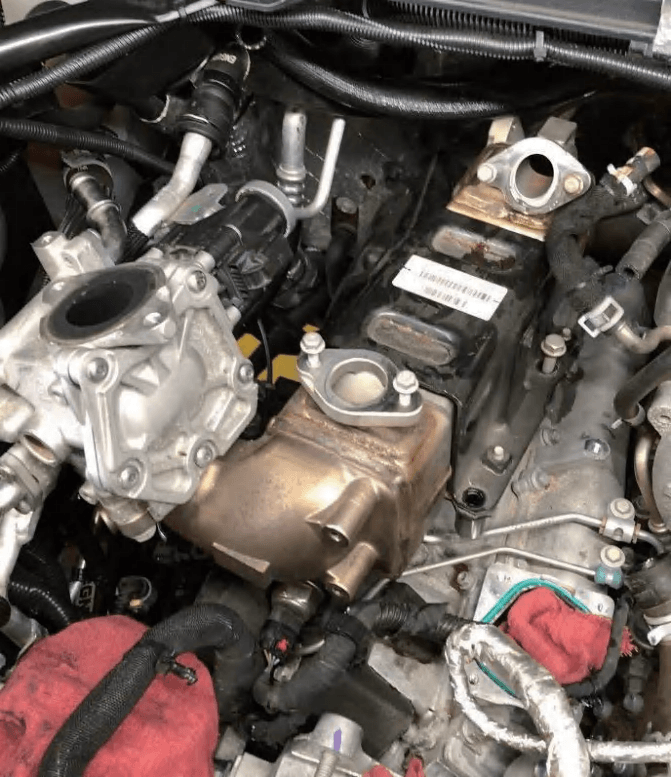 EGR cooler assembly removal area