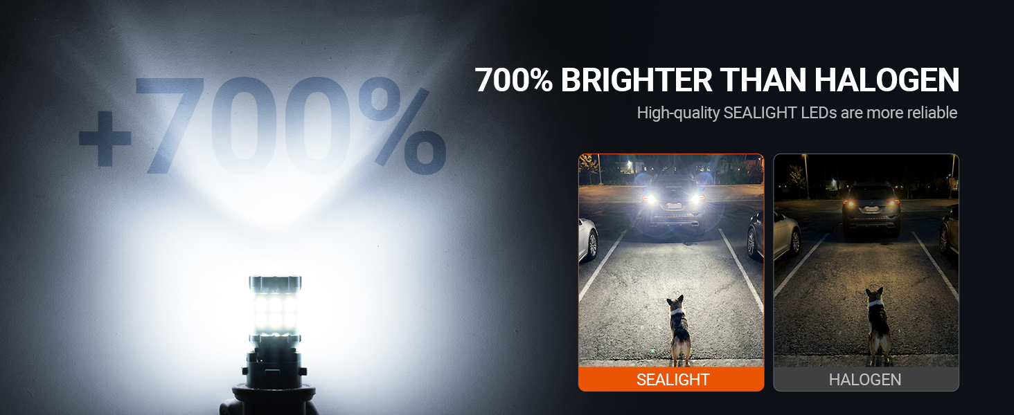reverse light