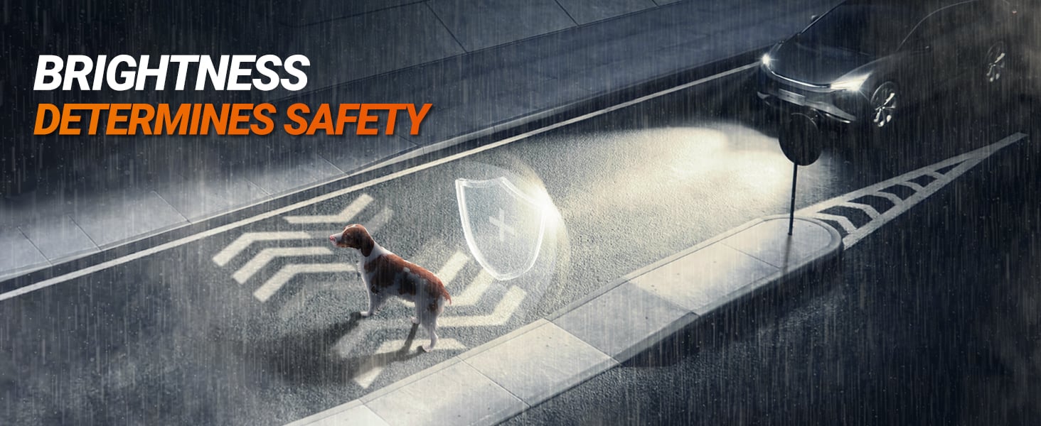 SEALIGHT Brightest h11 LED