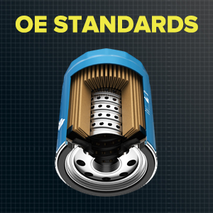 OE Standards