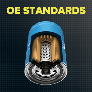 OE Standards