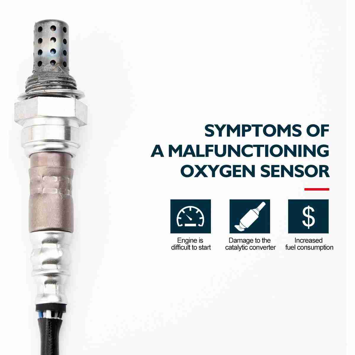 Suncent® 250-24137 Oxygen Sensor 1