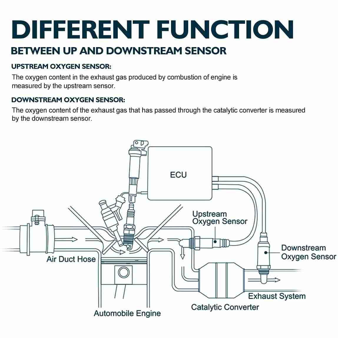 KAX® 250-24253 Oxygen Sensor 7
