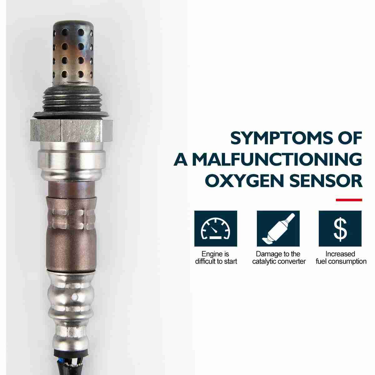 Suncent® 250-24012 Oxygen Sensor 6