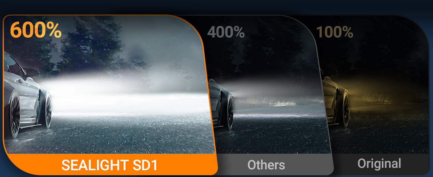 SD1