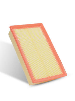 CA10094 engine air filter