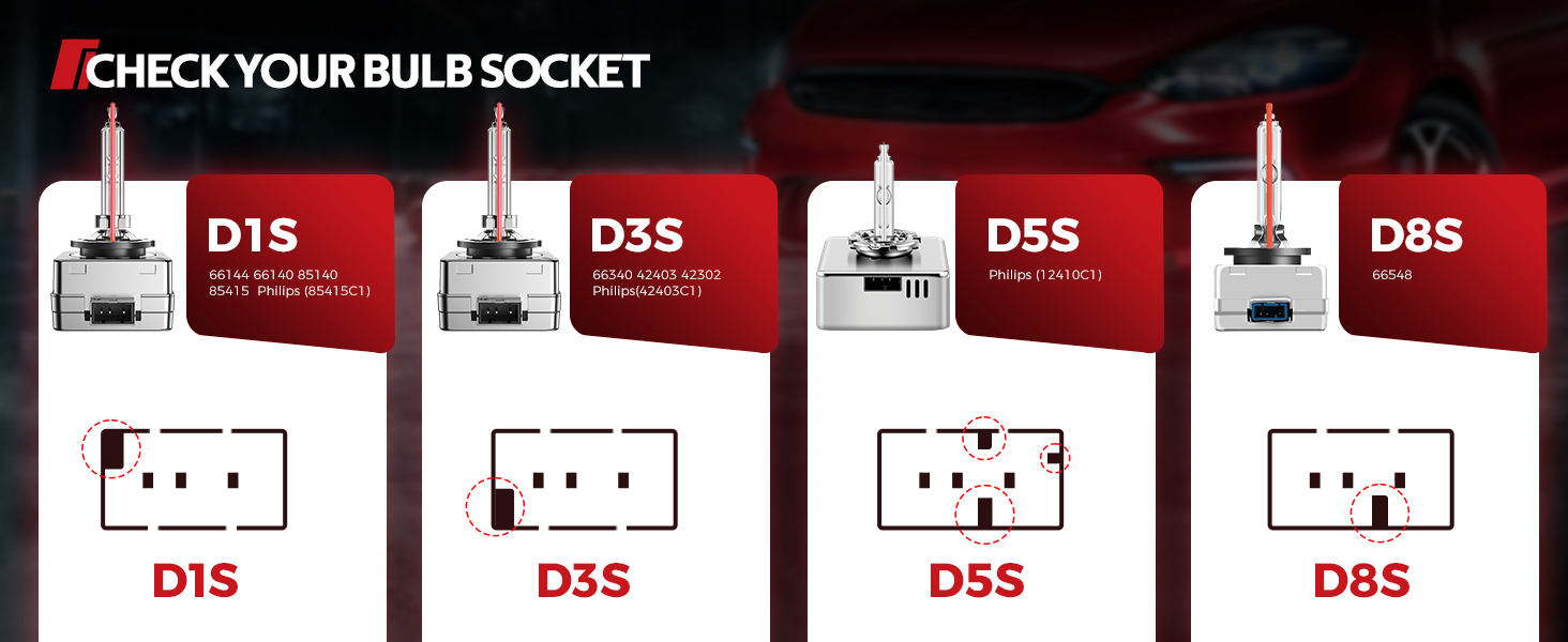 D1S