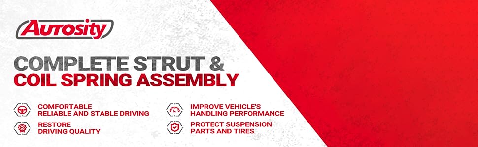 AUTOSITY Shock Struts