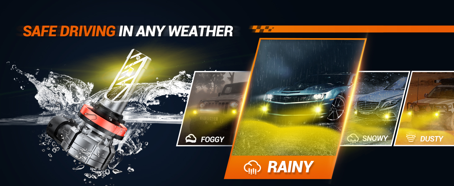 rain 