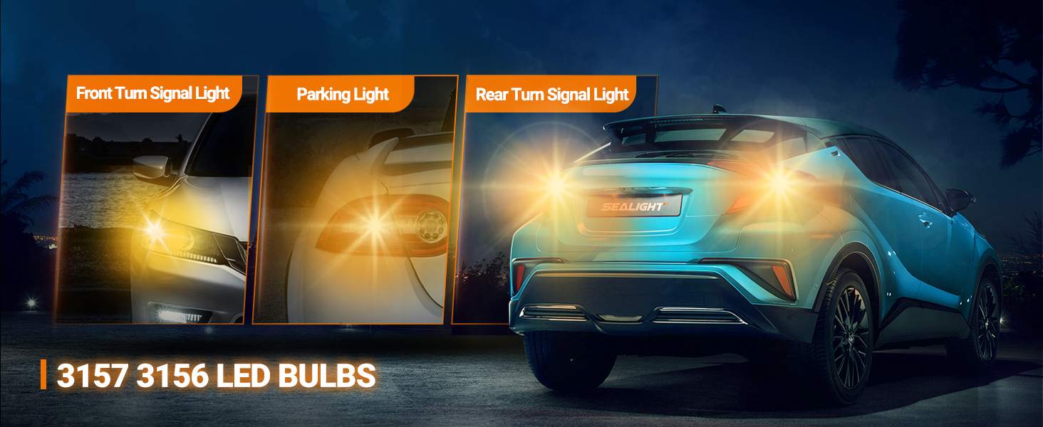 turn signal light