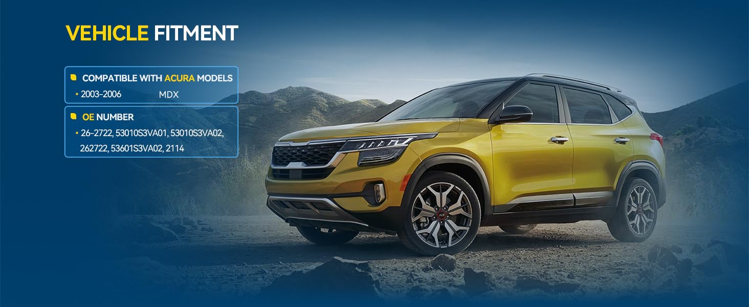 POWER STEERING RACK AND PINION ASSEMBLY