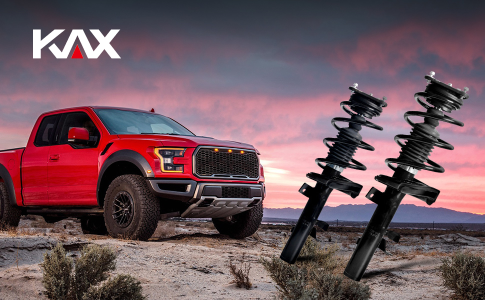 complete strut shock assembly