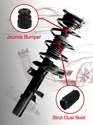 strut and shock with coil spring