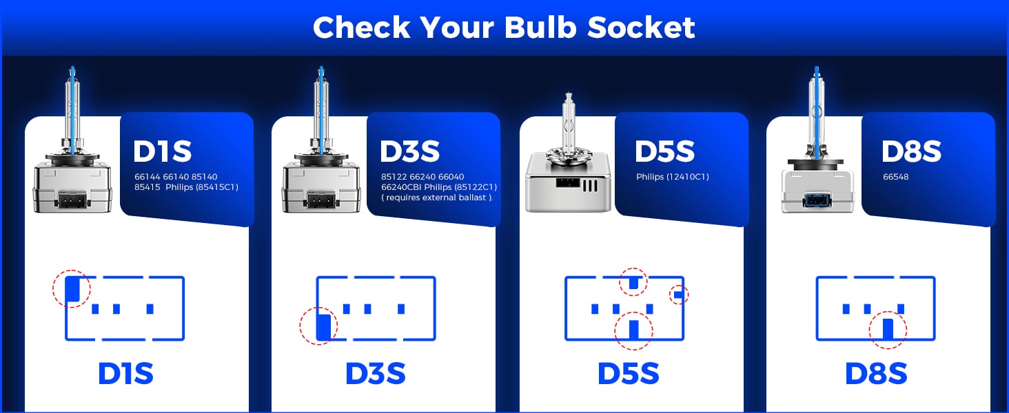 D1S