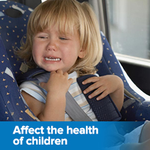 Volt cabin air filter 