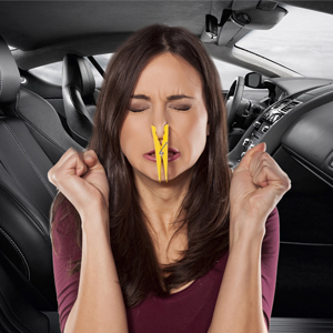 fresh cabin air filter