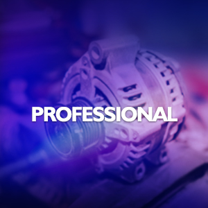professional