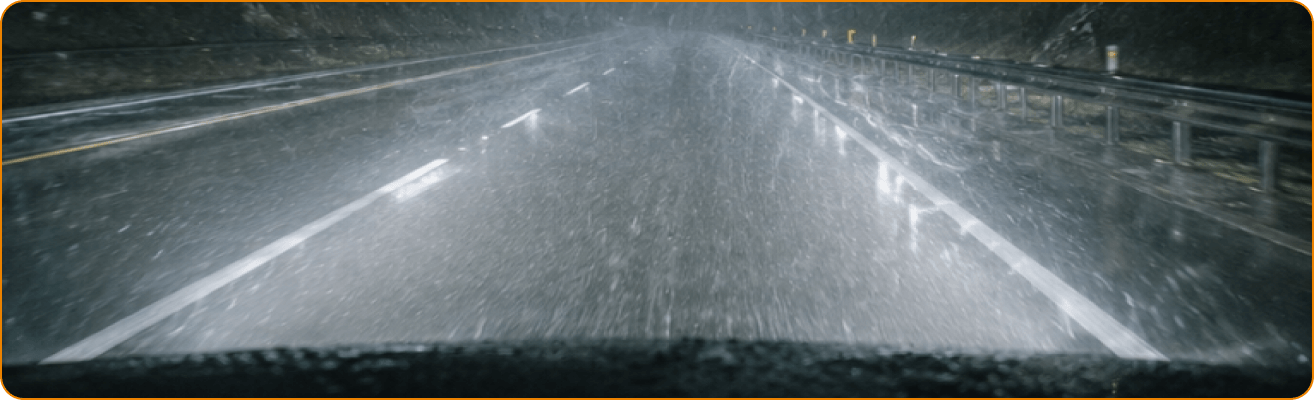 Sealight Fog Light Bulb