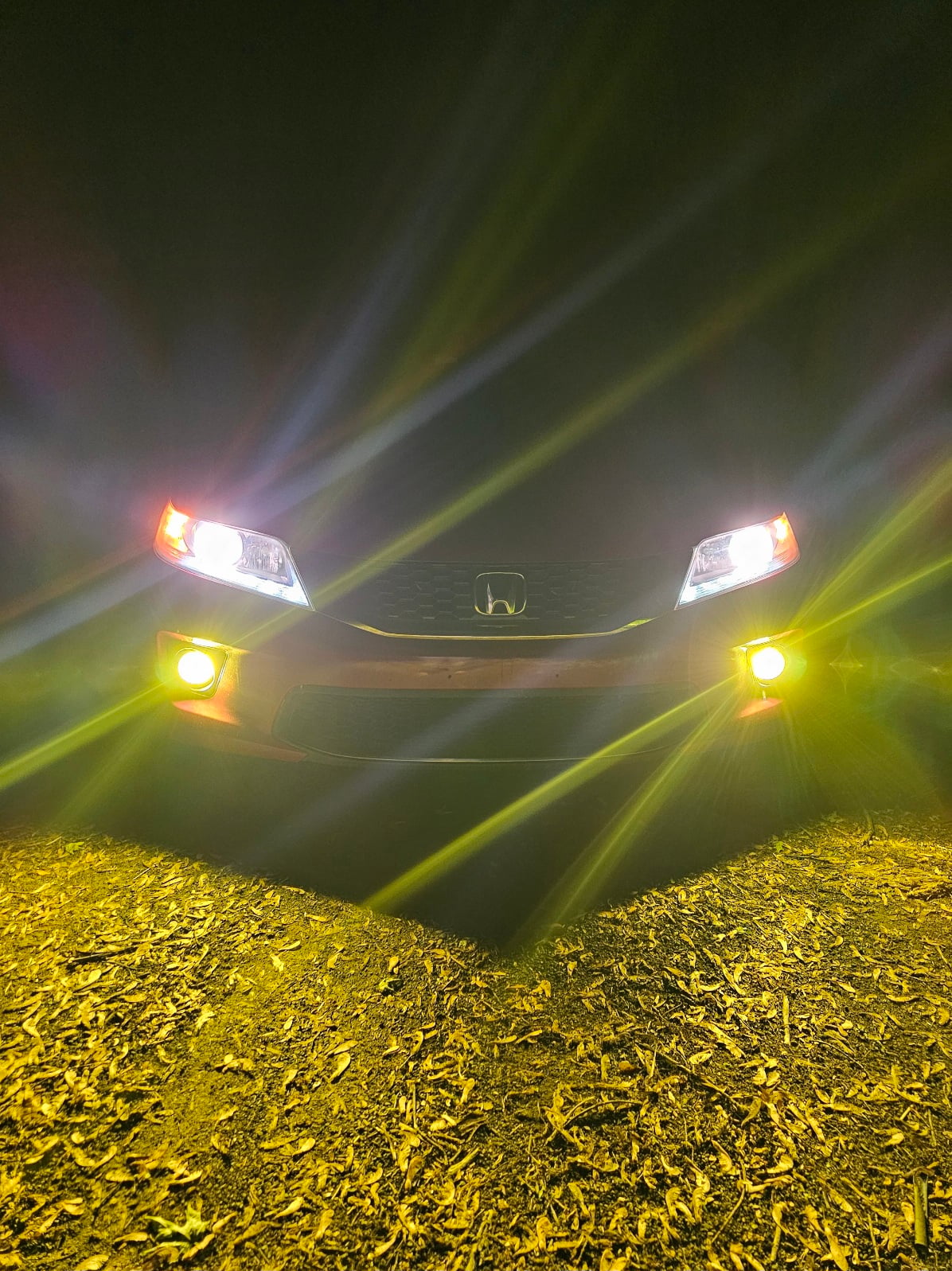 H11 H16 H8 H9 Yellow LED Fog Light Bulbs 3000K 40W | Xenower XF4